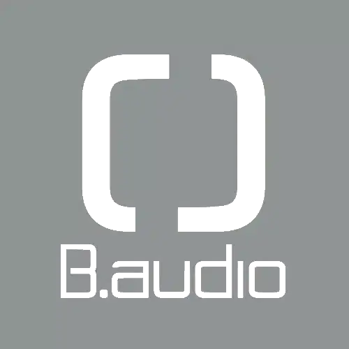 B.Audio