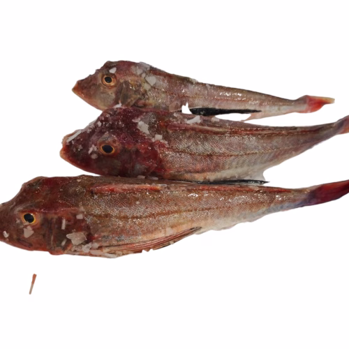 Gallinella imperiale  1 kg