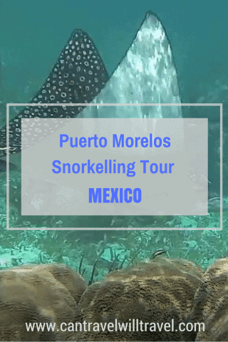 Snorkelling in Puerto Morelos, Mexico Pin