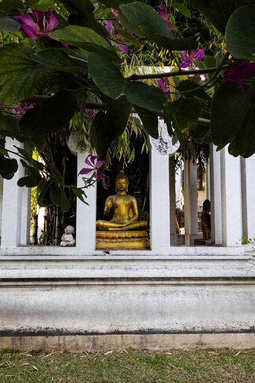 Tempel in Chiang Mai, Tempel, Doi Suthep, Sehenswürdigkeiten Chiang Mai, beste Tempel Chiang Mai, welche Tempel sollte man in Chiang Mai besuchen, Nordthailand, Chiang Mai Altstadt