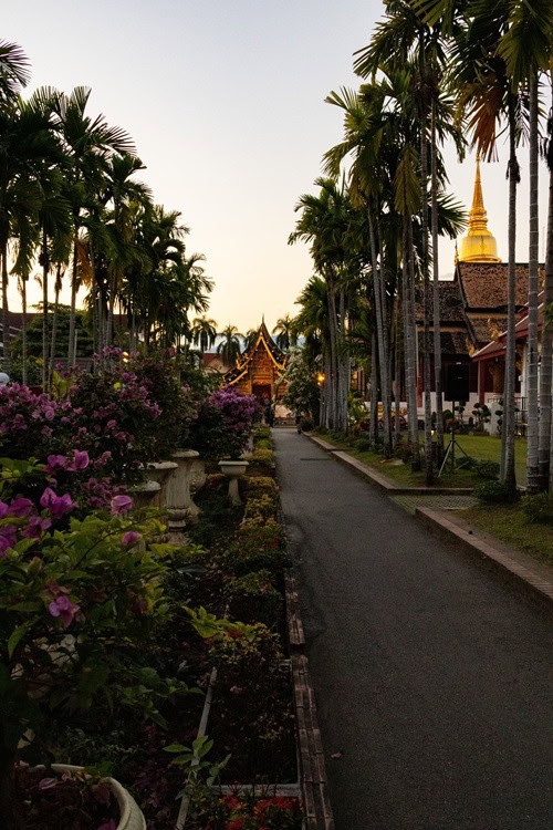 Tempel in Chiang Mai, Tempel, Doi Suthep, Sehenswürdigkeiten Chiang Mai, beste Tempel Chiang Mai, welche Tempel sollte man in Chiang Mai besuchen, Nordthailand, Chiang Mai Altstadt