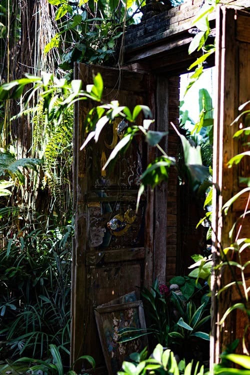 Tempel in Chiang Mai, Tempel, Doi Suthep, Sehenswürdigkeiten Chiang Mai, beste Tempel Chiang Mai, welche Tempel sollte man in Chiang Mai besuchen, Nordthailand, Chiang Mai Altstadt