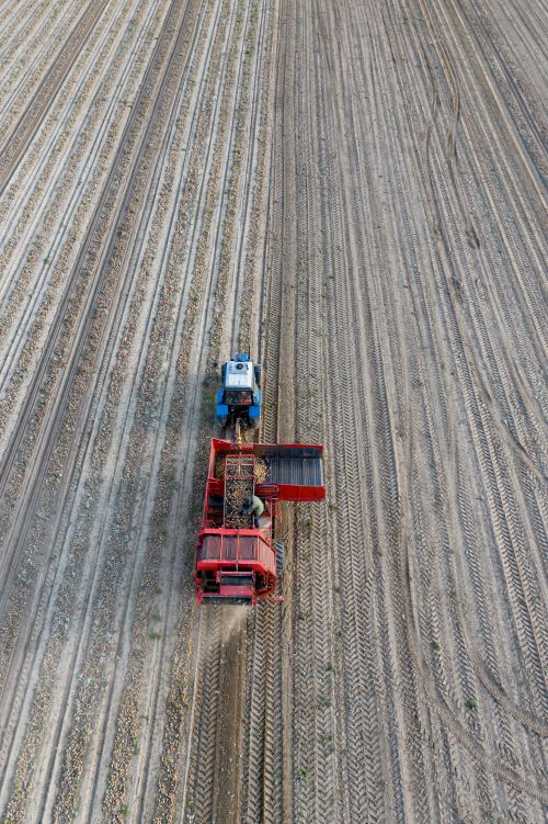 EnterpriseOne Grower Management