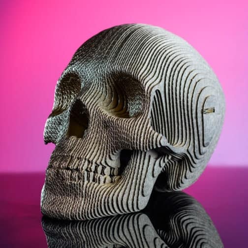 Череп – чертеж-пазл для лазера CorelDRAW