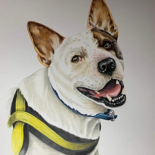 Commissioned portraits from photos - Image 2