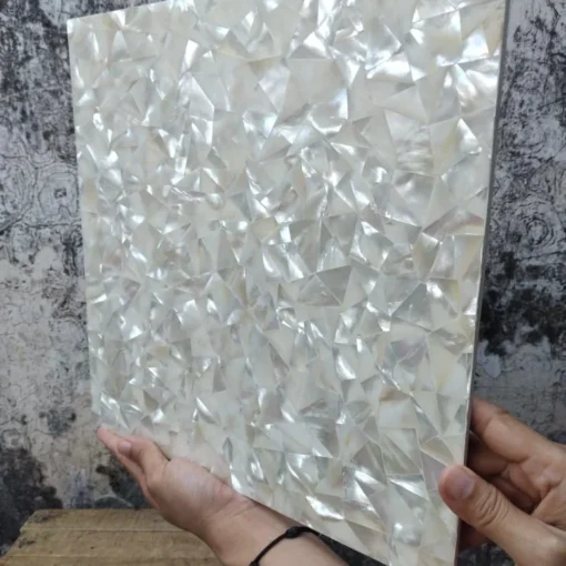 Mother Of Pearl Bowl Tile Panel - Image 5