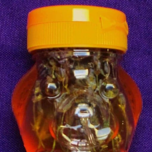 Lavender Honey - Image 2