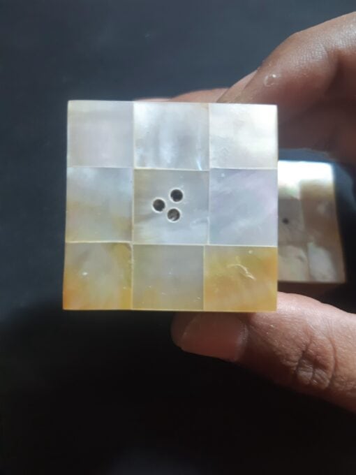 Mother of Pearl Salt Pepper Shakers