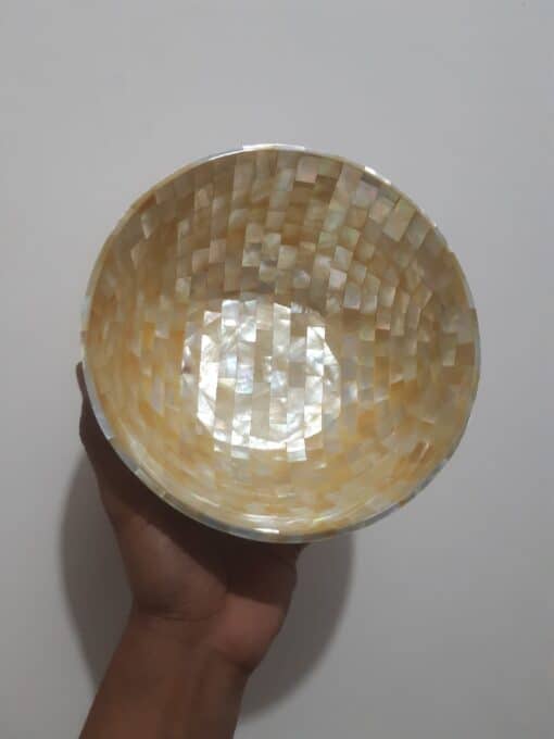 Mother Of Pearl Bowl