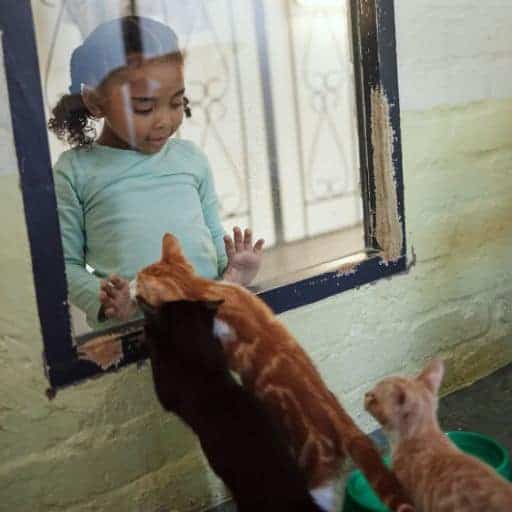 Gifts for Kids Who Love Cats 2 young curly haired black girl girl wearing a teal shirt at a window playing with 3 kittens in a rescue center.