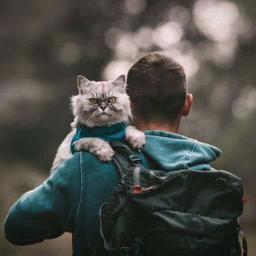 man wearing teal sweatshirt wearing a green cat backpack carrying a persian cat in a teal harness