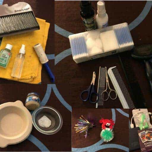 collage photo showing assorted cat show supplies