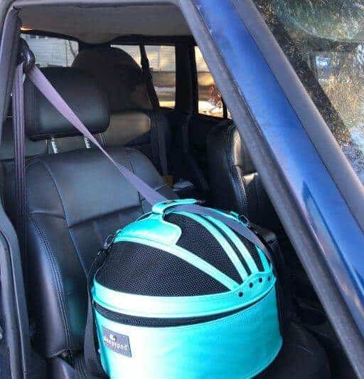 Teal sleepypod mobile pet bed, one of the best carriers for long distance travel with cats, seatbelted into my car.