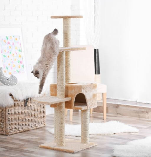 Stop Your Cat From Waking You Up at Night 3 bobtailed pointed cat jumping on a cat tree