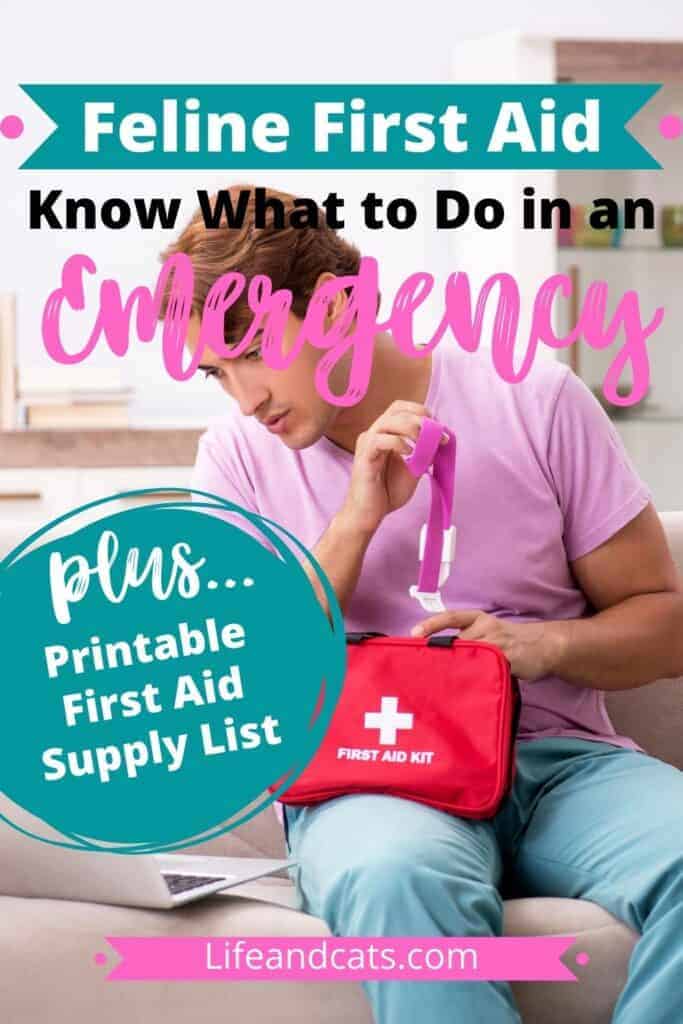 cat first aid pin graphic: man packing a first aid kit for his cat