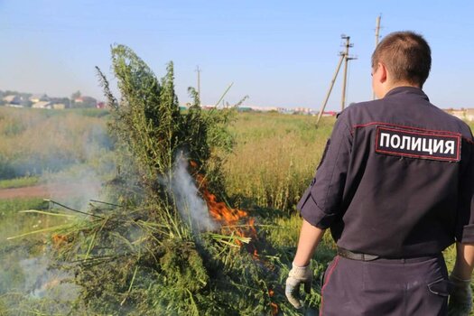 Незаконный оборот наркотиков Сергиево посадский городской округ