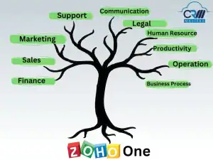 Zoho One Category