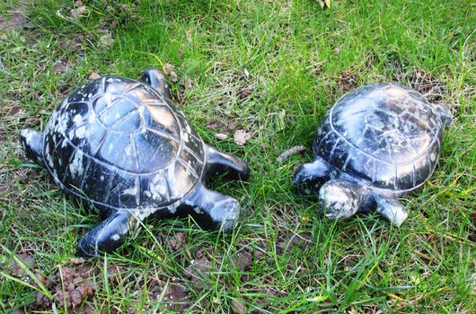 TORTUES EN SERPENTINITE DE CAVALAIRE