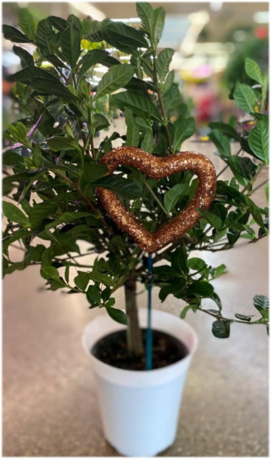 Copper heart-shaped decoration hanging on a green plant.