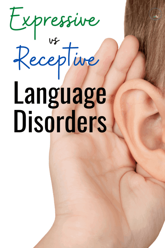 Expressive receptive language disorder pinterest