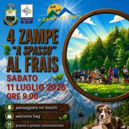 4 zampe