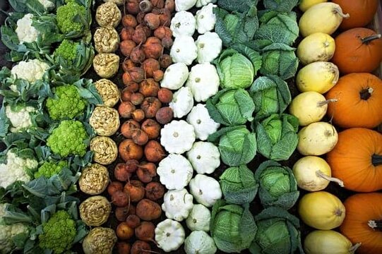 Gemüsestand
Kraut, Kürbis, Blumenkohl, Brokkoli