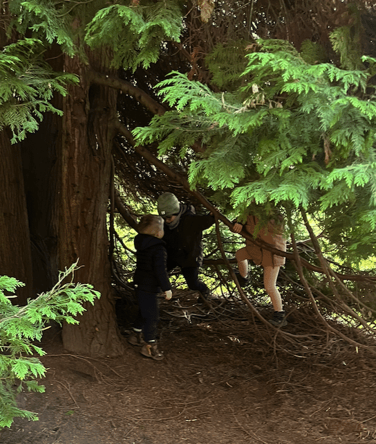 Kinder spielen im Wald am Nikolauskloster in Jüchen