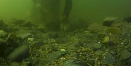 Discovery Channel: dal 27 maggio "La febbre dell'oro: Mare di Bering" | Digitale terrestre: Dtti.it