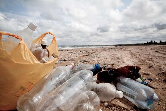 Plastic pollution is a problem for everyone. The effect on the UK bird population is pretty dire. Did you know that around 90% of seabirds have consumed plastic material?