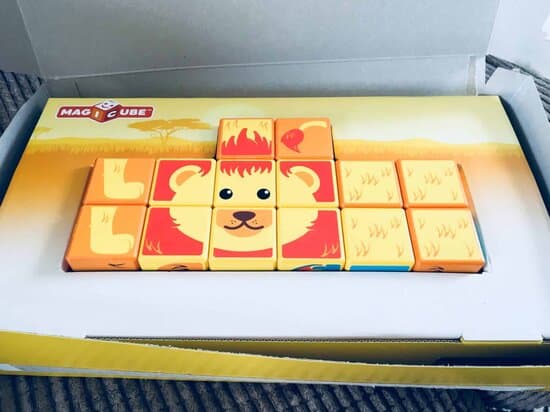 Magicube Safari Animals presented in a box