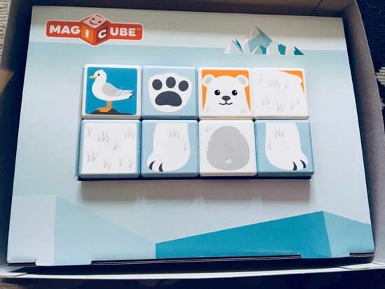 Geomag Magicube Polar Animals