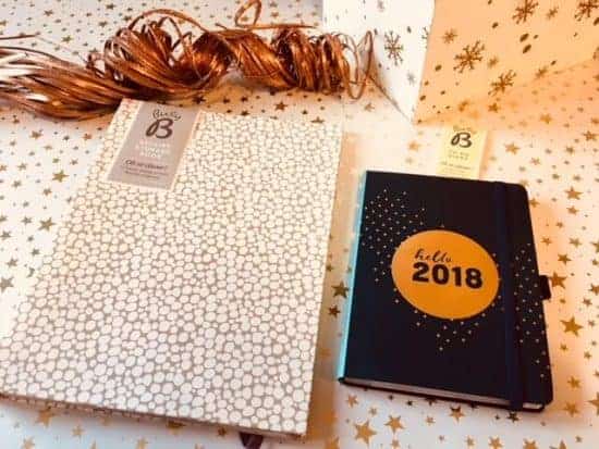 Busy B to do diary and receipt storage book