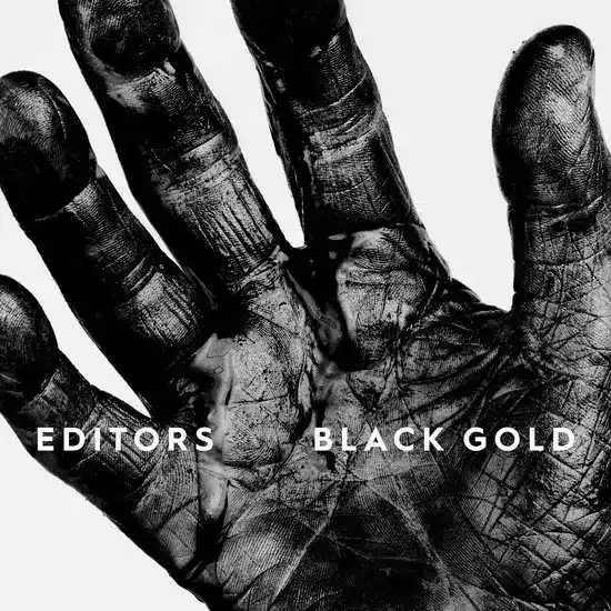 Editors / Black Gold - Best Of Editors (2LP)