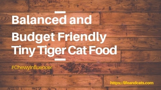 board wall with tiny tiger title pinnable image