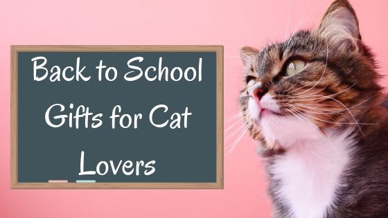 brown tabby on pink background with a blackboard graphic