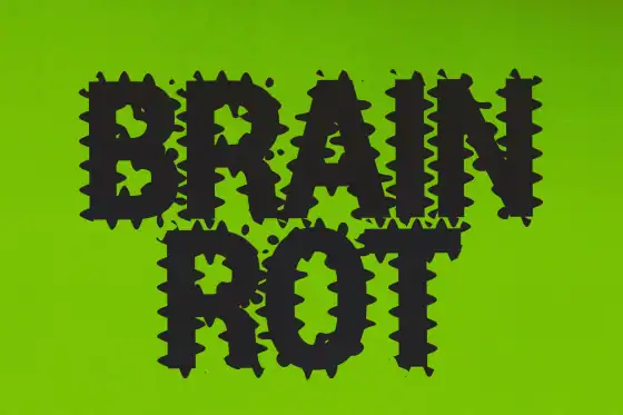 Brain rot collectables