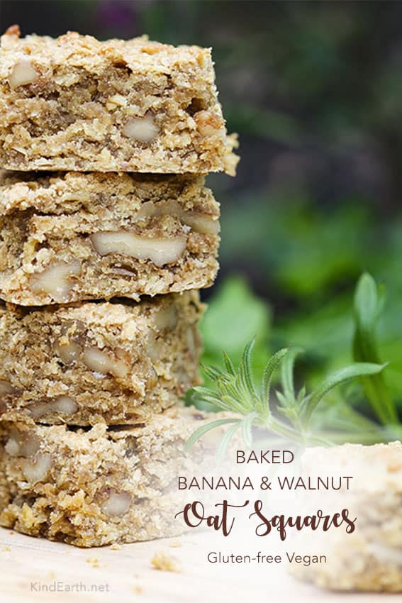 Baked Banana & Walnut Oat Squares, gluten-free vegan by Anastasia, Kind Earth