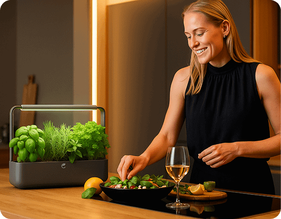 Mis en situation du potager cultive en cuisine