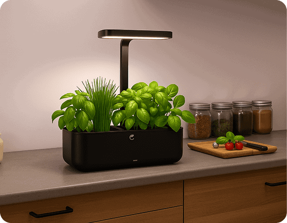 potager cultive noir mis en situation