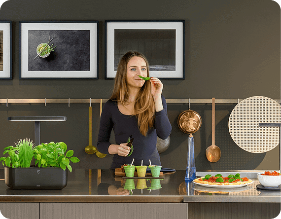 Mis en situation du potager cultive en cuisine