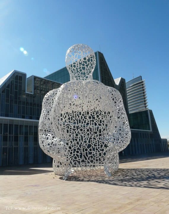 soul de ebro zaragosa @lemonicks.com