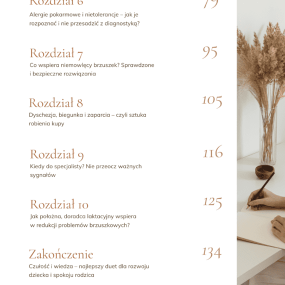 Mały Brzuszek - Wielki Problem - Spis treści 2 [ebook]