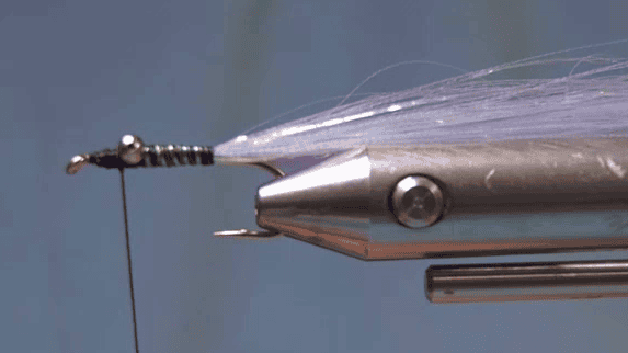 Single strand of Crystal Flash ribbed forward to create a slim, shimmering body, thread tied off behind the eyes.