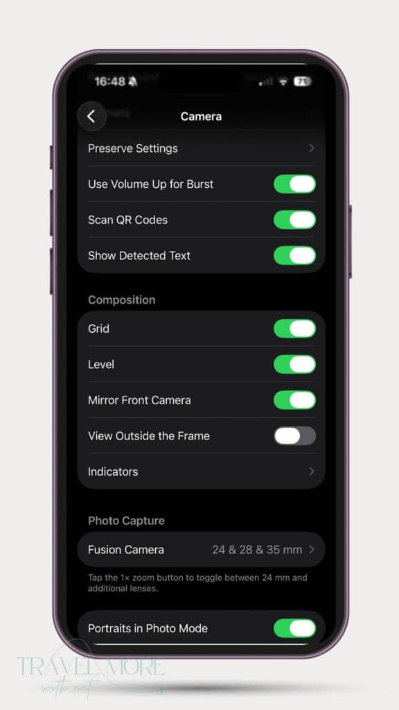 iPhone settings showing composition tools like grid and level toggled on, recommended for improving safari photography composition and framing on mobile.
