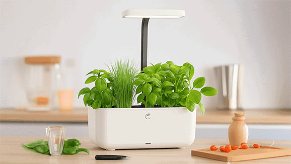 Potager blanc connecté Cultive