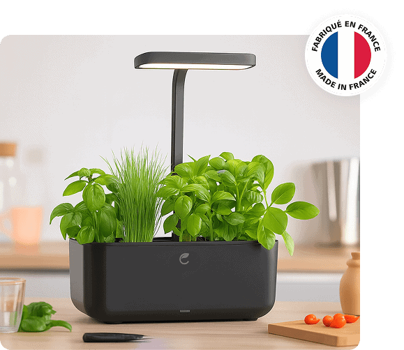 Potager d’intérieur connecté Cultive noir