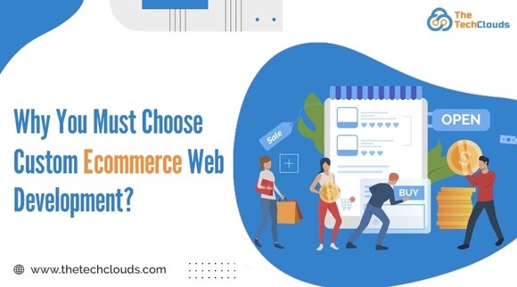 custom Ecommerce Web Development company india