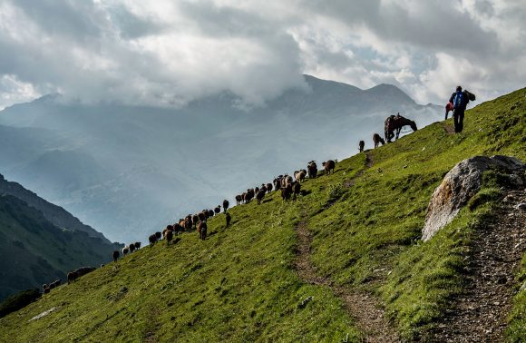 Ultimate Arslanbob Trekking Adventure Ultimate Arslanbob Trekking Adventure
