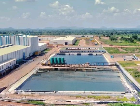 Niassa: Inaugurada primeira fábrica de processamento de grafite em Moçambique com investimento de 200 milhões de dólares