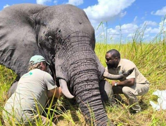 ANAC reconhecida como exemplo internacional na conservação da biodiversidade